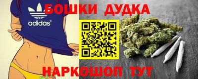 индика Краснокаменск