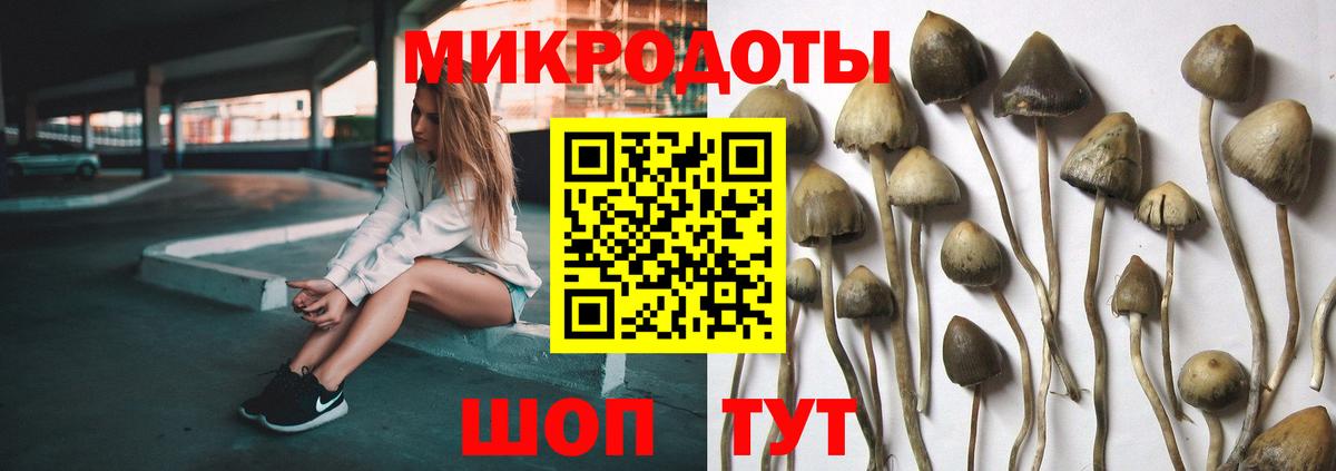 Кандалакша  хочу наркоту  Вход с VPN  Галлюциногенные грибы Magic Shrooms  Псилоцибиновые грибы мицелий 