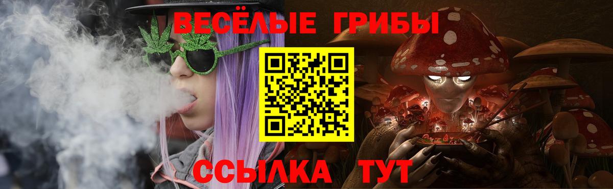 Псилоцибиновые грибы прущие грибы Кандалакша